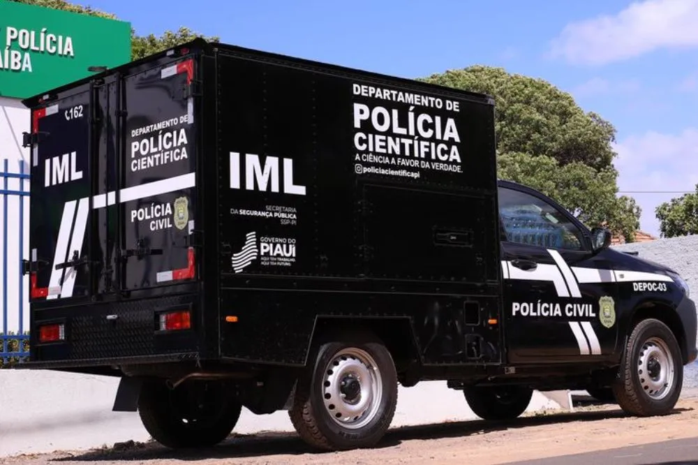 Homem morre após motocicleta colidir contra cão na PI-112