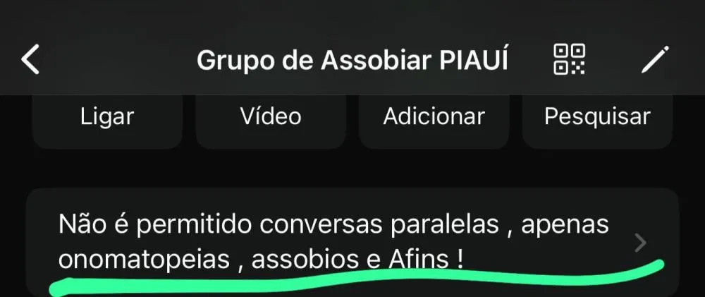 Grupo de “assobios” viraliza no Piauí e transforma WhatsApp em espaço de interação inusitada