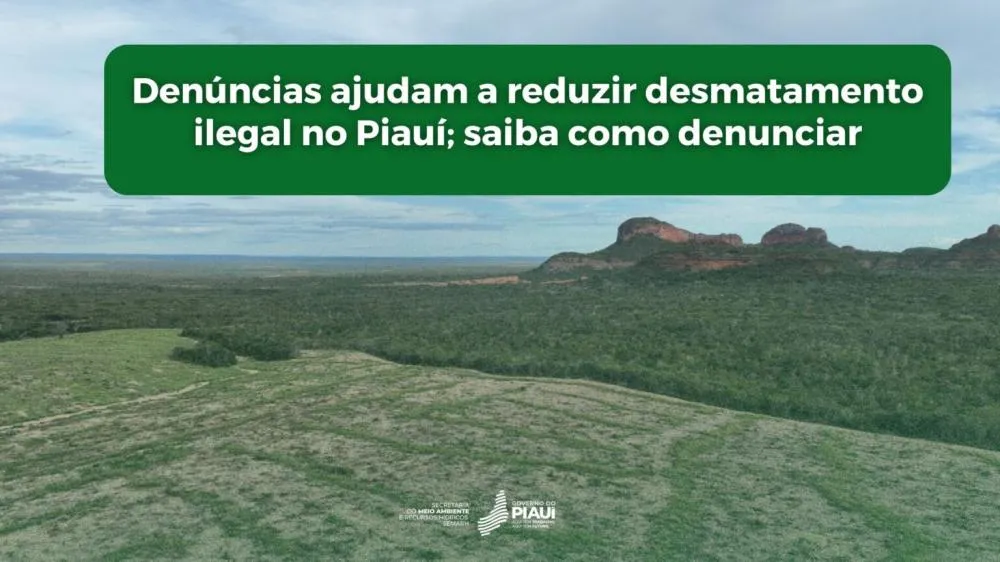 Denúncias ajudam a reduzir desmatamento ilegal no Piauí