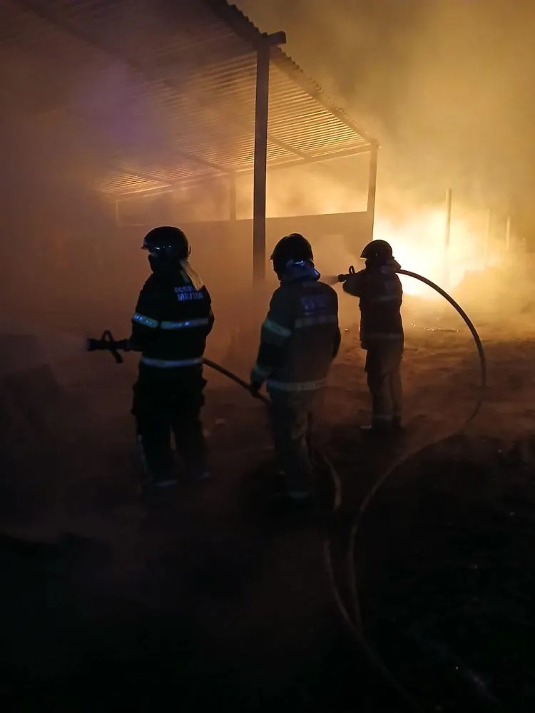 Incêndio em madeireira e 12 ônibus causou prejuízo de mais de R$ 1,8 milhão em Teresina