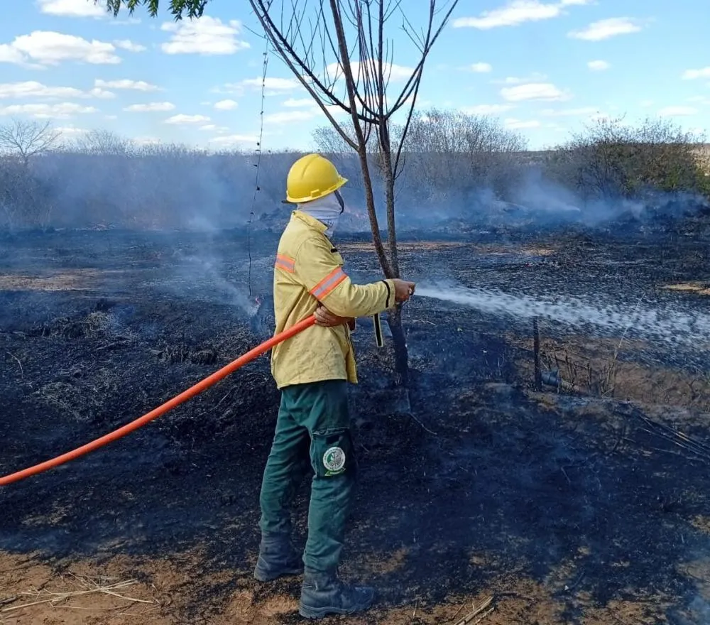 Brigadistas controlam incêndio de grande proporções em Bom Jesus