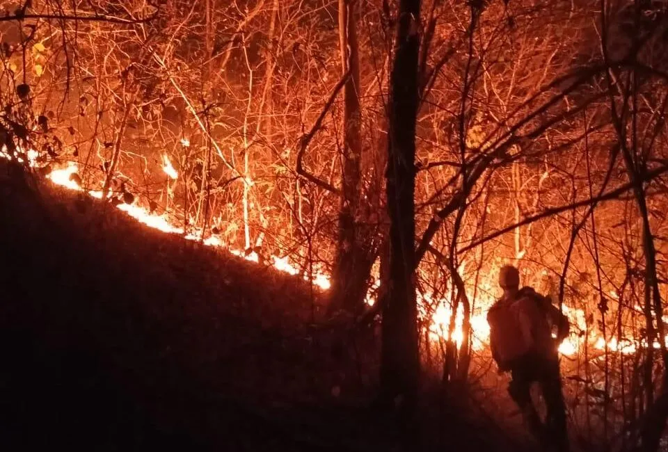 Brigadistas controlam incêndio em área próxima aos Cânions do Viana no sul do Piauí
