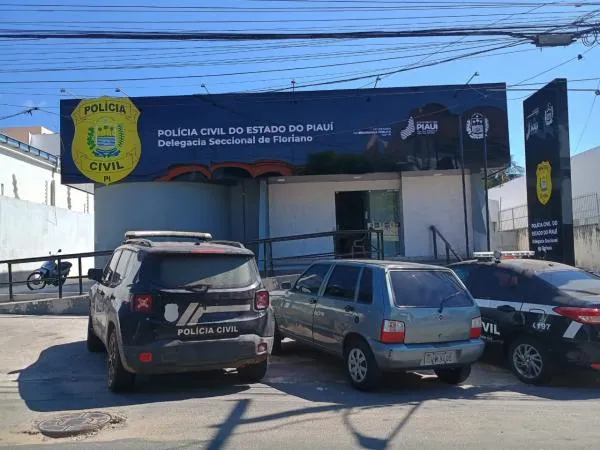 Polícia Civil deflagra operação contra diversos crimes praticados em Floriano