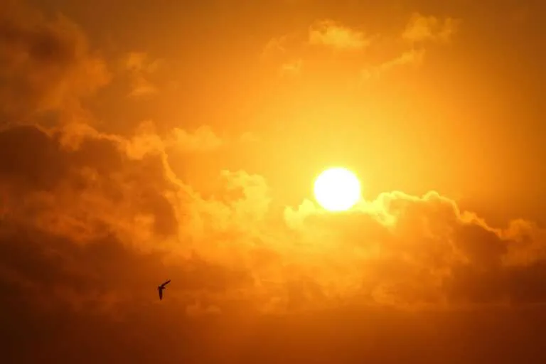 B-R-O Bró chega mais cedo no Piauí: temperaturas elevadas e baixa umidade preocupam