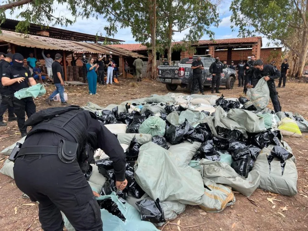 Polícia Civil incinera mais de uma tonelada de drogas em Teresina