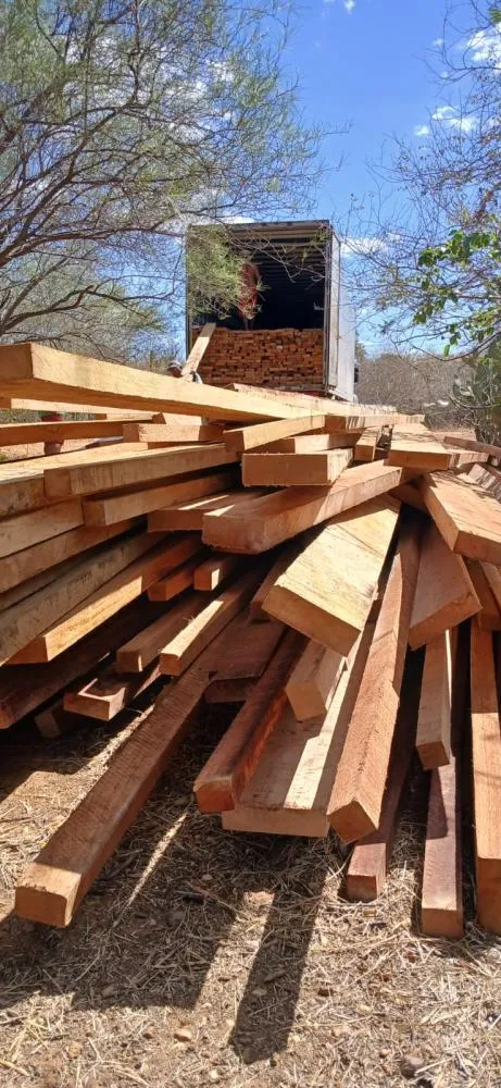 Semarh já apreendeu 213 m³ de madeira ilegal em 2025, aumento de 86% em relação ao ano passado