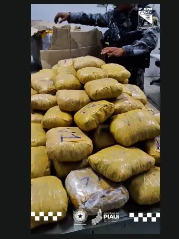 PM apreende grande quantidade de maconha, cocaína e prende duas pessoas em Floriano