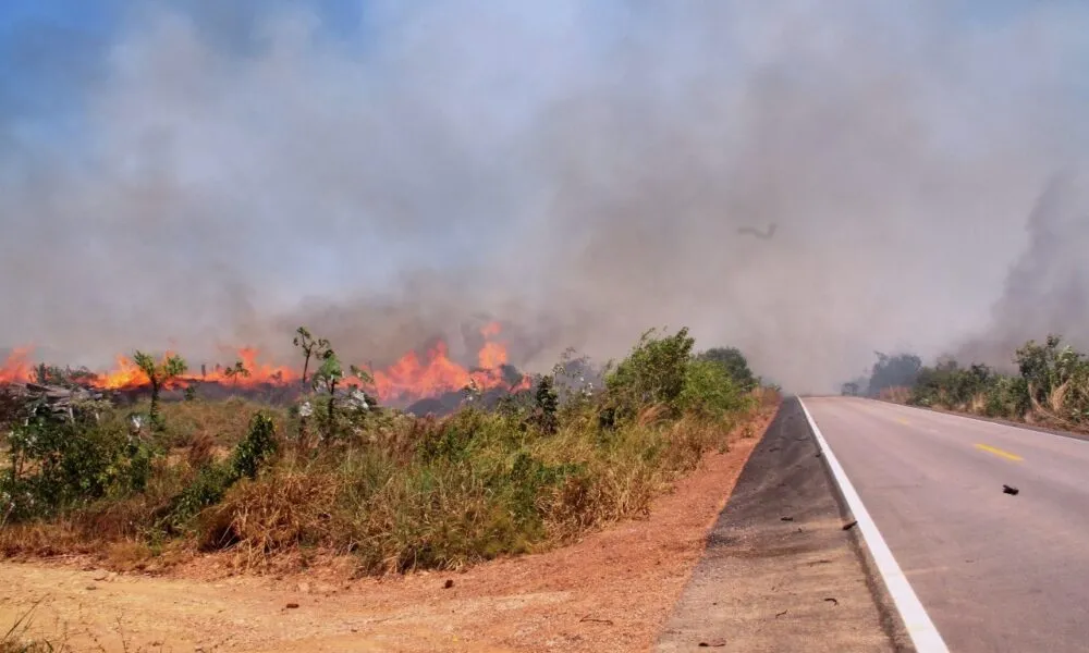 Bombeiros do Piauí registram 900 focos de incêndio em áreas verdes durante agosto