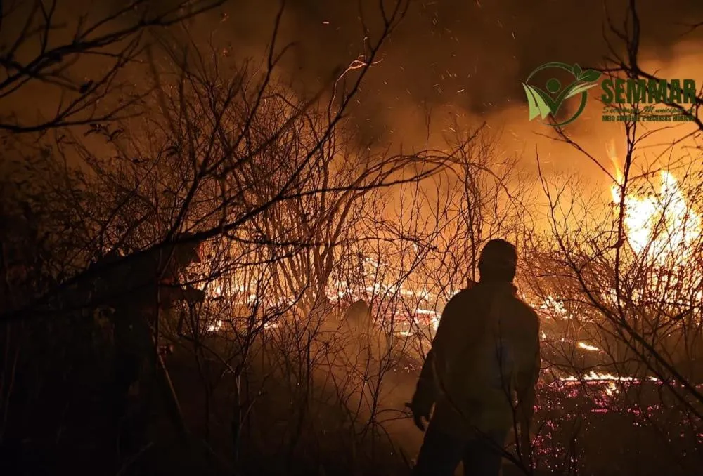 Brigadistas controlam incêndio de grandes proporções em Pimenteiras após quatro dias de combate