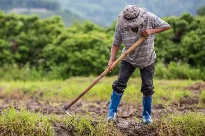 MPF já apresentou 20 denúncias contra grupos que lesaram o INSS em mais de R$ 216 milhões no Piauí