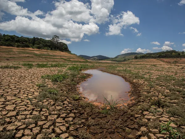 Ministério reconhece situação de emergência em 126 cidades piauienses afetadas pela seca