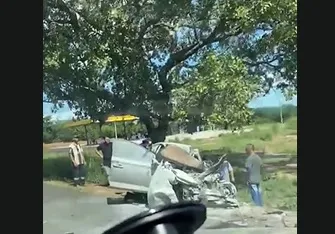 Duas pessoas morrem após batida entre carro e caminhão na BR-316
